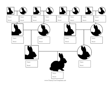 Rabbit Breed Family Tree Template
