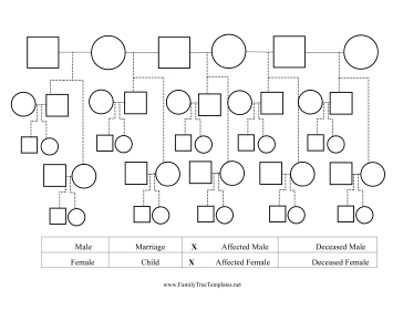 Remarriage Pedigree Chart Template