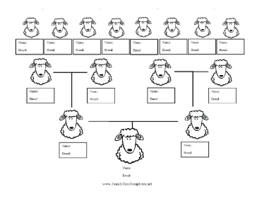 Sheep Breed Family Tree Template