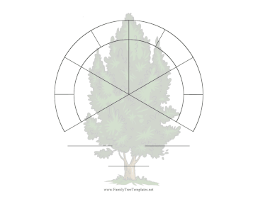 Three-Fourths Fan 4 Generations Illustrated Template