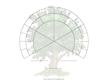 Three-Fourths Fan 5 Generations Illustrated Template