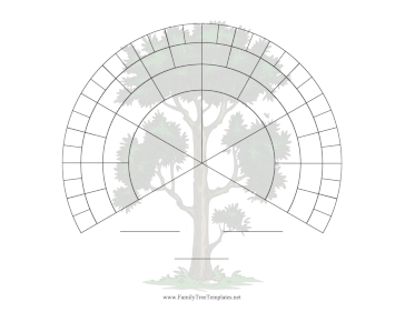 Three-Fourths Fan 6 Generations Illustrated Template