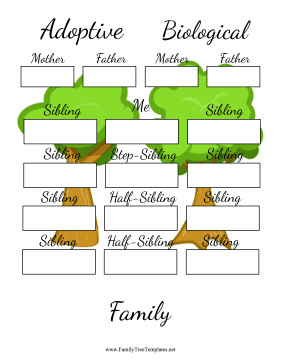 Two Generation Adoptive Family Tree Template