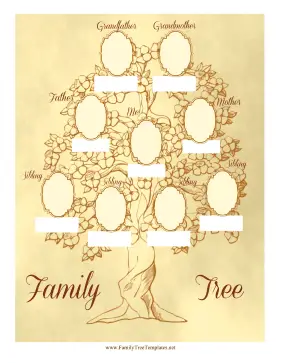 Vintage Family Tree 3 Generations Template