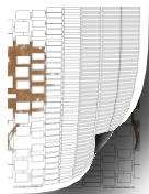 10-Generation Family Tree with Graphic
