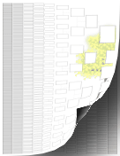 11-Generation Family Tree Graphic