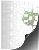 12-Generation Family Tree Graphic