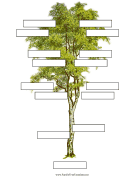 4 Generation Family Tree without Labels