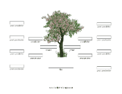 4 Generation Family Tree Cherry Blossom