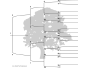 5 Generation Family Tree with Brackets