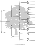 5 Generation Family Tree with Brackets - Vertical