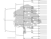 6 Generation Family Tree with Brackets