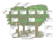 Arbol Genealogico Con Primos
