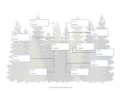 Donor Family Tree with 5 Half-Siblings