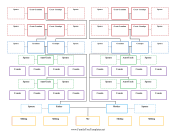 Extended Family Tree Multiple Spouses