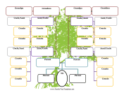 Family Tree Aunts and Uncles