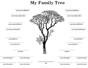 Family Tree with Many Siblings