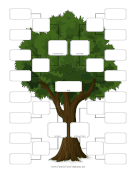 Four Generation Step-Family