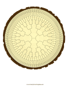 Radial Family Tree 8 Generation Stump