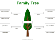 Stepfamily Family Tree