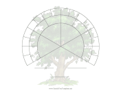 Three-Fourths Fan 5 Generations Illustrated