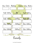 Two Generation Blended Family Tree
