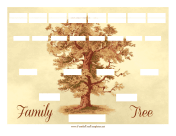 Vintage Family Tree 5 Generations