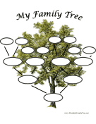 My Family Tree